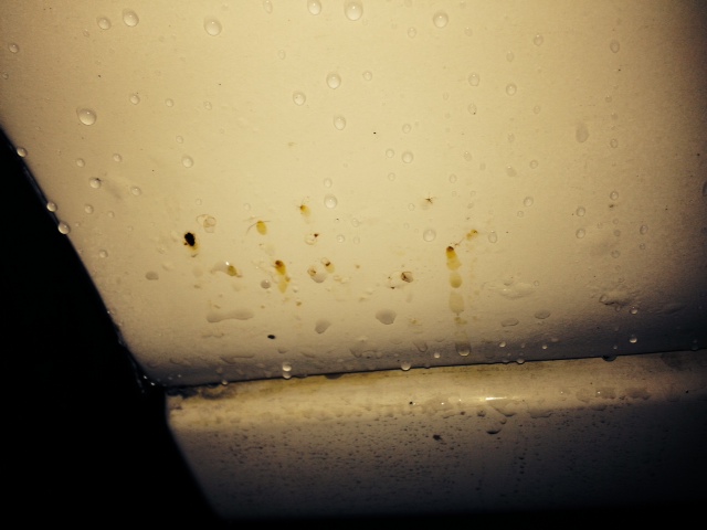 Any DC2 experts out there? Needing rust opinions!  - Page 1 - Honda - PistonHeads - The image captures a close-up view of a white object, possibly a piece of kitchen appliance or a section of a white wall. The object is adorned with brown stains, which could be a sign of grease or a similar substance. A small yellow stain is also noticeable, situated at the top right corner of the object. These blemishes are set against the backdrop of a white background, which is lightly speckled with droplets of water or moisture. The overall image gives a sense of a well-used or perhaps a neglected item.