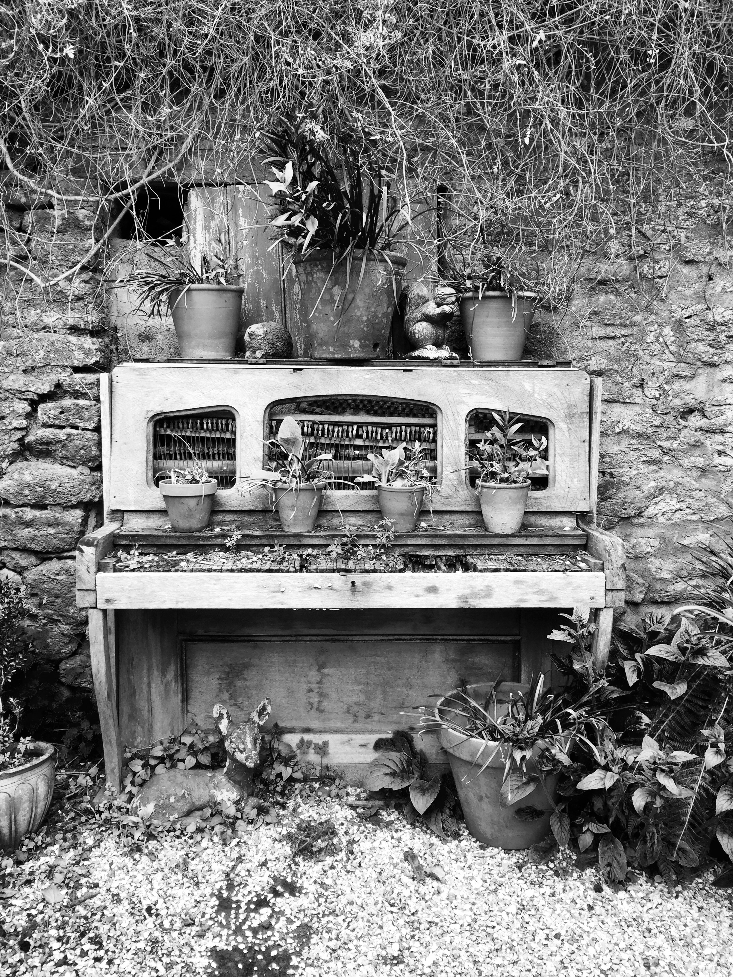 Just for fun random camera phone pictures you're happy with. - Page 26 - Photography & Video - PistonHeads - The image is a black and white photograph that captures a scene of a potentially old, wooden piano or organ with multiple compartments on a stone wall. These compartments are housing various plants and flowers, giving the setting a charming, rustic feel. The vegetation within the piano or organ compartments contrasts the hard, structured nature of the stone wall with the organic and delicate life of the plants. The lighting of the scene suggests it might be a sunny day, as the composition exhibits soft shadows and highlights indicative of natural lighting. The overall atmosphere of the image is serene and timeless, evoking a sense of history and simplicity.