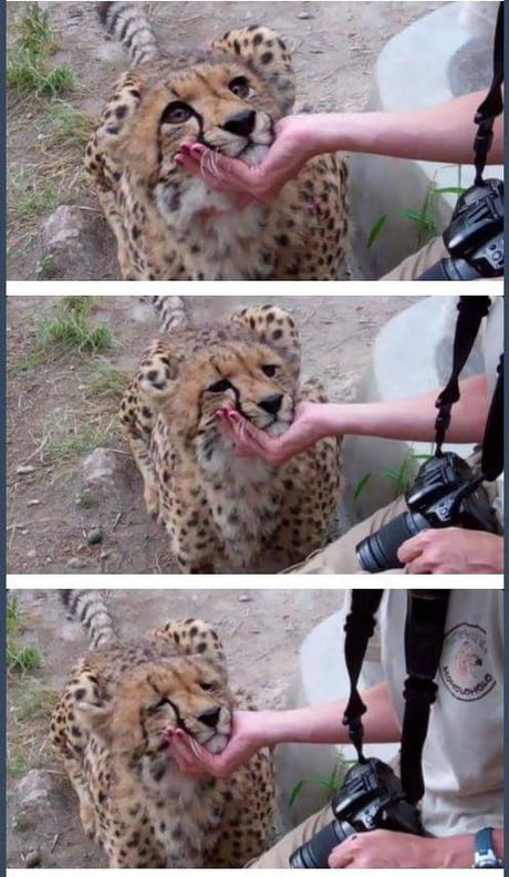 When someone you trust finally touches you and you realize you've been starved for physical affection your whole life.