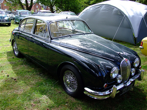 Masculine Pistonheads - The image displays a vintage automobile parked on a grassy area with a canopy providing shade in the background. The vehicle is of a classic black color, possibly belonging to the era of the 1950s or earlier. It has a sleek and curved body style and is a notchback model, as suggested by the prominent rear window. The front grille features a prominent emblem, which could be a manufacturer's logo, and the headlights have a distinctive taper design. The tires are of a classic white-wall style, adding to the car's vintage appeal.