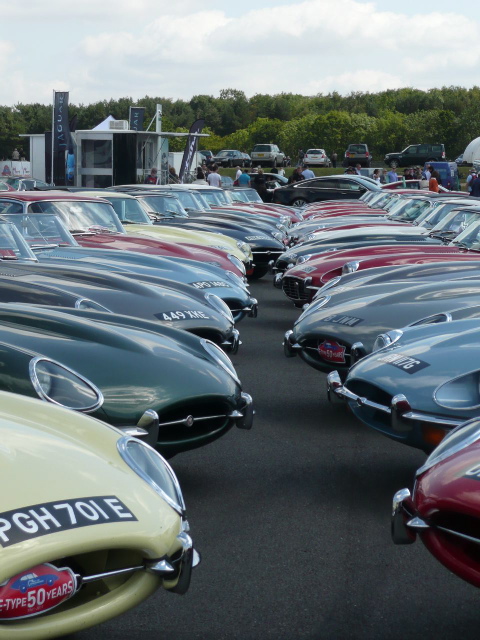 Pistonheads - The image is a captivating photo capturing a vintage car show in a field. The field is adorned with cars of all shapes and sizes, with a variety of colors adding a vibrant palette to the scene. The cars are parked in three parallel rows against a backdrop of trees and a clear blue sky. The steeper angles of the cars' placement create an organized chaos, the cars filling the foreground to the horizon. The image conveys a sense of nostalgia and appreciation for the automotive history they represent.