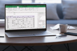 Mastering Data Analysis using Microsoft Excel: Formulas and Pivot Tables