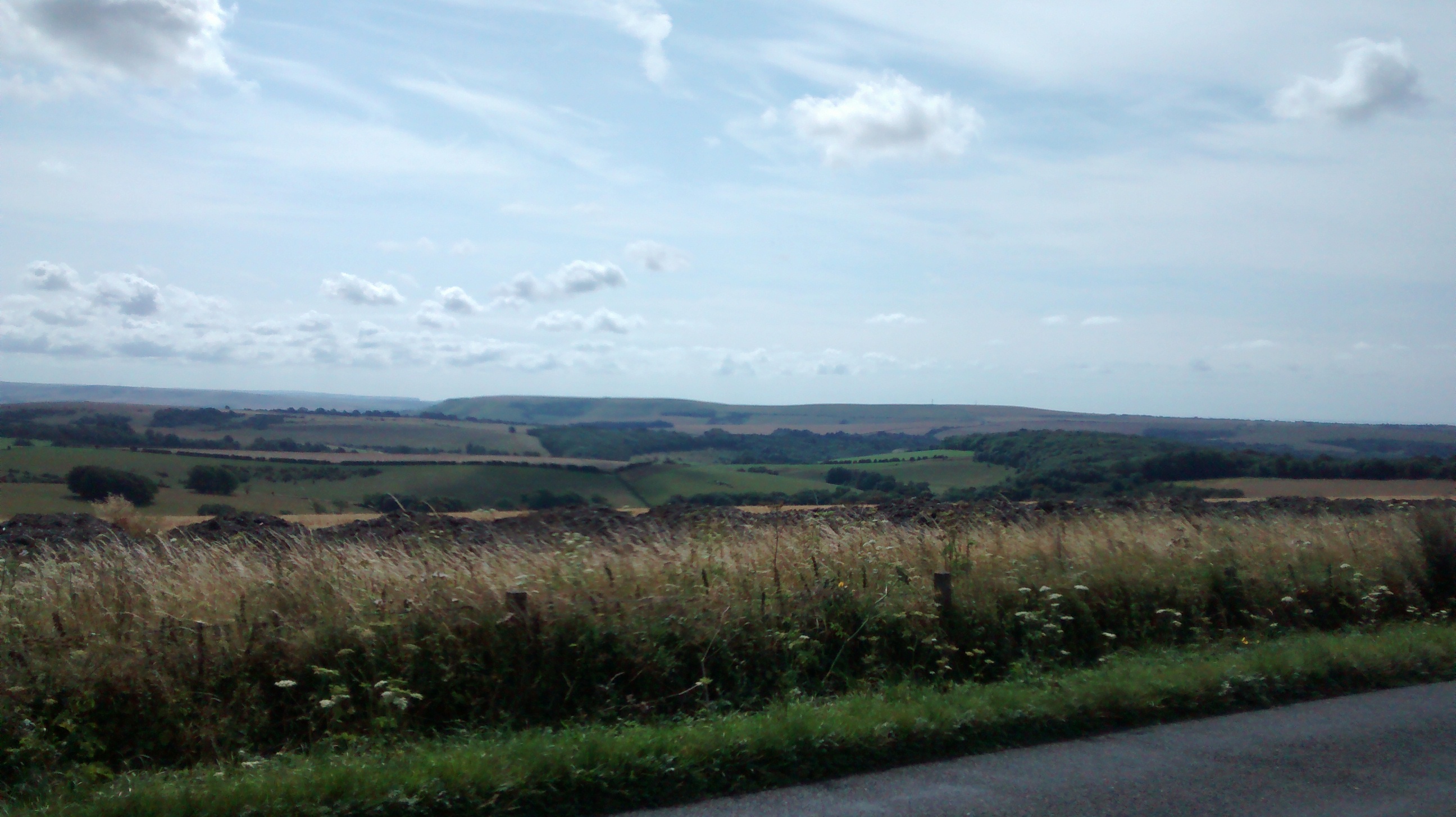 The "Photos From Today's Ride" thread... - Page 156 - Pedal Powered - PistonHeads - This image captures a serene outdoor scene. The photograph features a vast landscape of gently rolling hills that stretch into the distance. The grass covering the hills is a mix of greens and browns, indicating varying levels of growth or possibly different types of vegetation.

Above this pastoral scene, a light blue sky unfurls, lightly spotted with fluffy white clouds. The sky appears to be a warm, tranquil expanse, suggesting a calm, sunny day.

In the lower portion of the image, a strip of darker blue is visible, possibly indicating a line of trees or an area of denser foliage separating the viewer from the expansive fields.

The overall color palette of the image is soft and natural, with a harmonious balance of earthy browns, lush greens, and cool blues. There's a sense of solitude and peacefulness in this rural landscape, making it a picturesque scene of nature's beauty.