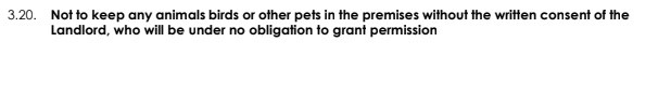 Leaseholder refusing permission for our dog - Page 2 - All Creatures Great & Small - PistonHeads
