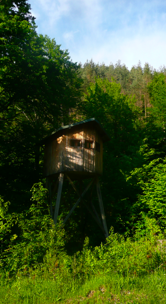 Little overnight trip to the Balkan range - Page 1 - Off Road - PistonHeads - The image features a treehouse hidden amidst a lush green forest. The treehouse, constructed on stilts, is nestled in the top right corner of the scene. It appears to be a lookout point over the woodland, with a clear sky visible in the background. The surrounding verdant trees cast dappled shadows on the woodland floor, creating a serene and tranquil atmosphere. The colors in the photo are predominantly greens and browns, reflecting the natural landscape.