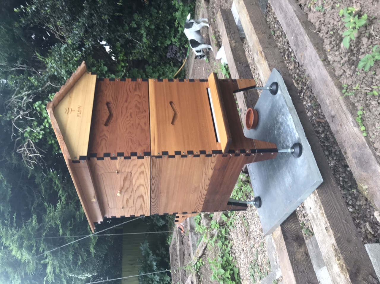I am now a Beekeeper!! - Page 7 - All Creatures Great & Small - PistonHeads