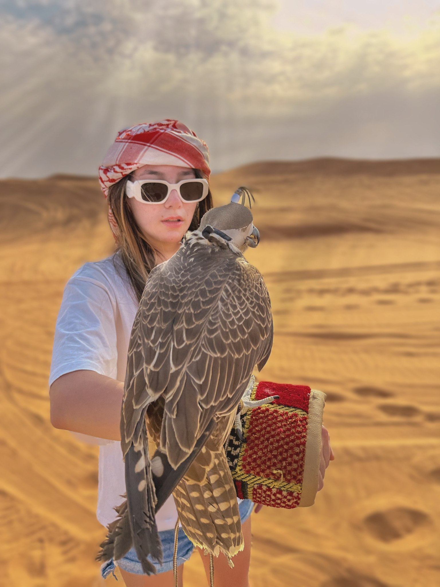 Hulya duru gunduz dubai desert falcon photo