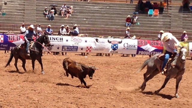 More Route 66 adventures - the first 2013 trip - Page 3 - Holidays & Travel - PistonHeads - The image shows a dynamic scene of a rodeo event. Two cowboys are mounted on horses, trying to lasso a calf that is running rampantly. The horses, riders, and calf are the main focus of the image, taking up a significant portion of the frame. There are blurred figures in the background, possibly spectators or other participants, indicating a large and lively event. The setting appears to be an outdoor arena, with rows of chairs visible, suggesting that this is an organized competition. The image captures the excitement and energy of the rodeo, as well as the skills of the cowboys, their bond with the horses, and the agility of the calf.