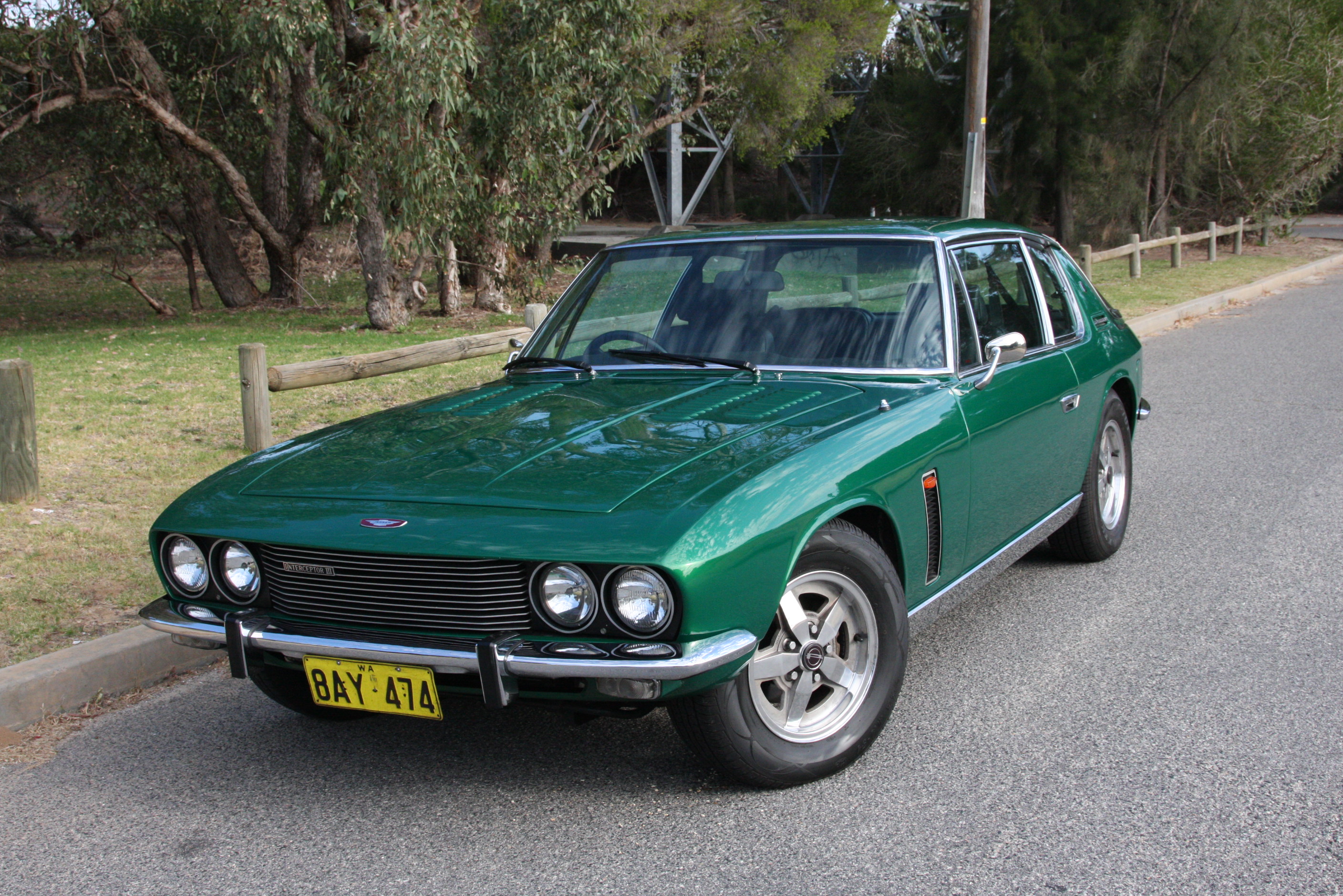 A car parked next to a parking meter - Pistonheads - The image shows a green two-door classic sedan parked on the side of the road in what appears to be a suburban or rural residential neighborhood. The car has a distinctive front end design that includes round headlights and a prominent front grille, featuring manufacturer badges on either side. The vehicle also displays a unique license plate, beginning with the characters "5AY." The setting is outdoors during daylight, as indicated by the natural lighting and shadows visible in the photograph.