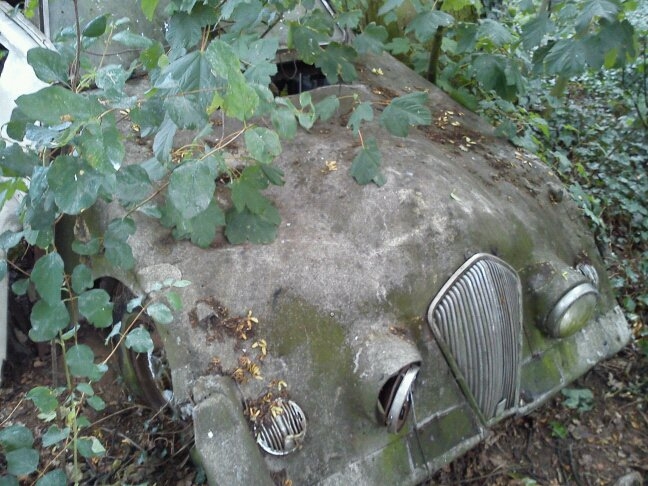 Challenge, do you know where this car is? - The image showcases an abandoned car, which appears to be an old, large vehicle with a missing hood. It is now covered in various forms of vegetation and dirt, indicating it has been dormant for quite some time. The car is seen through a dense thicket of green leaves, adding to the sense of abandonment and decay. Despite its condition, there's a certain charm to this scene, evoking curiosity about the history of the car and the story behind its current state. The lush greenery around it also contrasts the mechanical nature of the car, further emphasizing the passage of time.