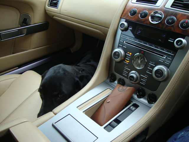 Pistonheads - The image features an interior view of a car, specifically focusing on the center console. A black dog is resting peek-a-boo, its head visible as it looks up from underneath the console. Above the dog, a dashboard with various control knobs and a central touch screen dominates the view. To the side, a coffee cup holder is visible, indicating how some people like to enjoy their beverages while driving. The perspective of the photo suggests it was taken from the barrel of a gun, adding an unusual vantage point to the scene.