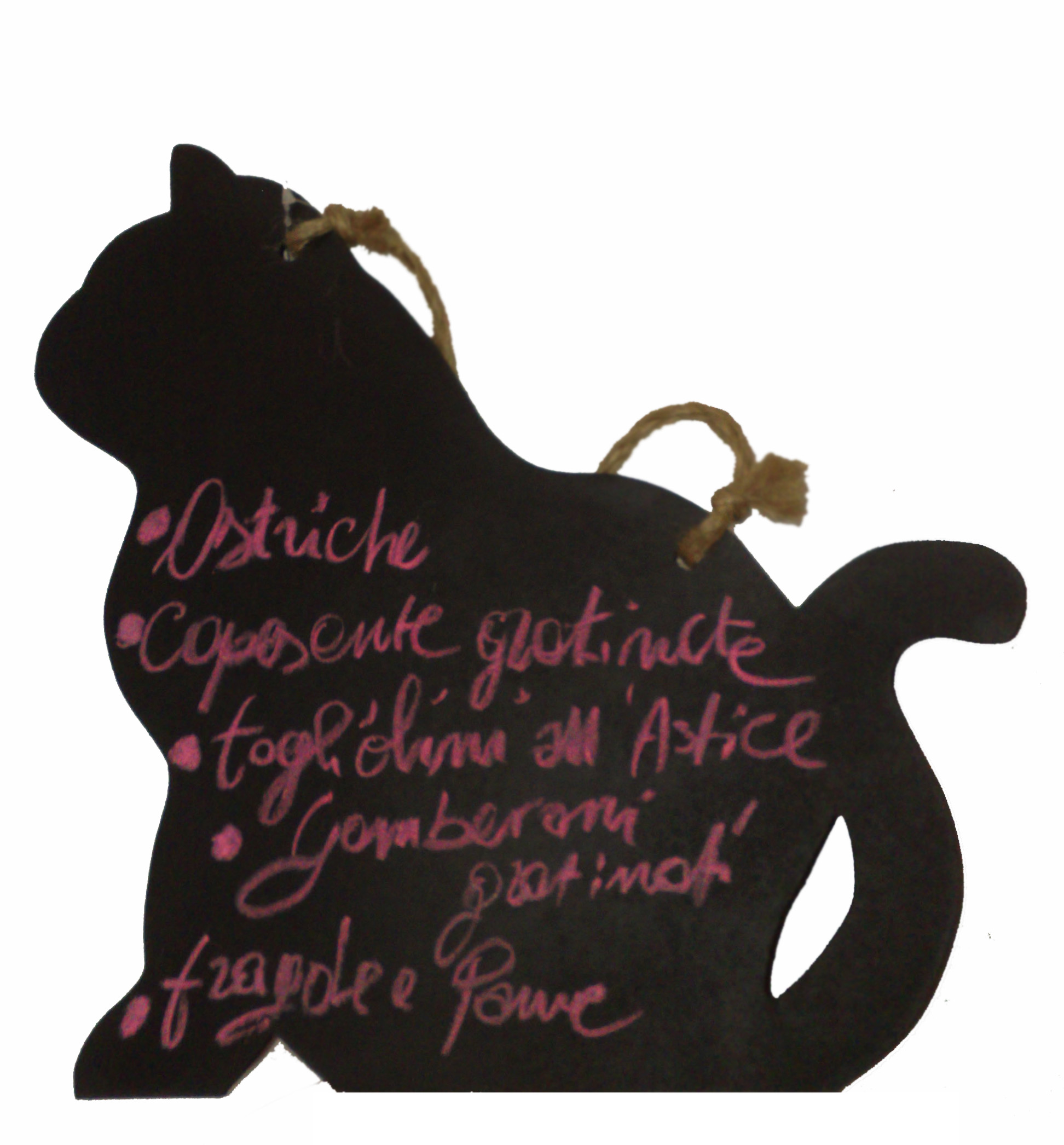 The image depicts a black silhouette of a cat against a white background. It is an illustration with various words written in pink cursive around the silhouette. The words appear to be names, though specific names are not accurately identified. The silhouette is detailed, showing features such as ears, tail, and paws. The style of the image is decorative, and there are texts that seem to be personalized strings of text on the silhouette.