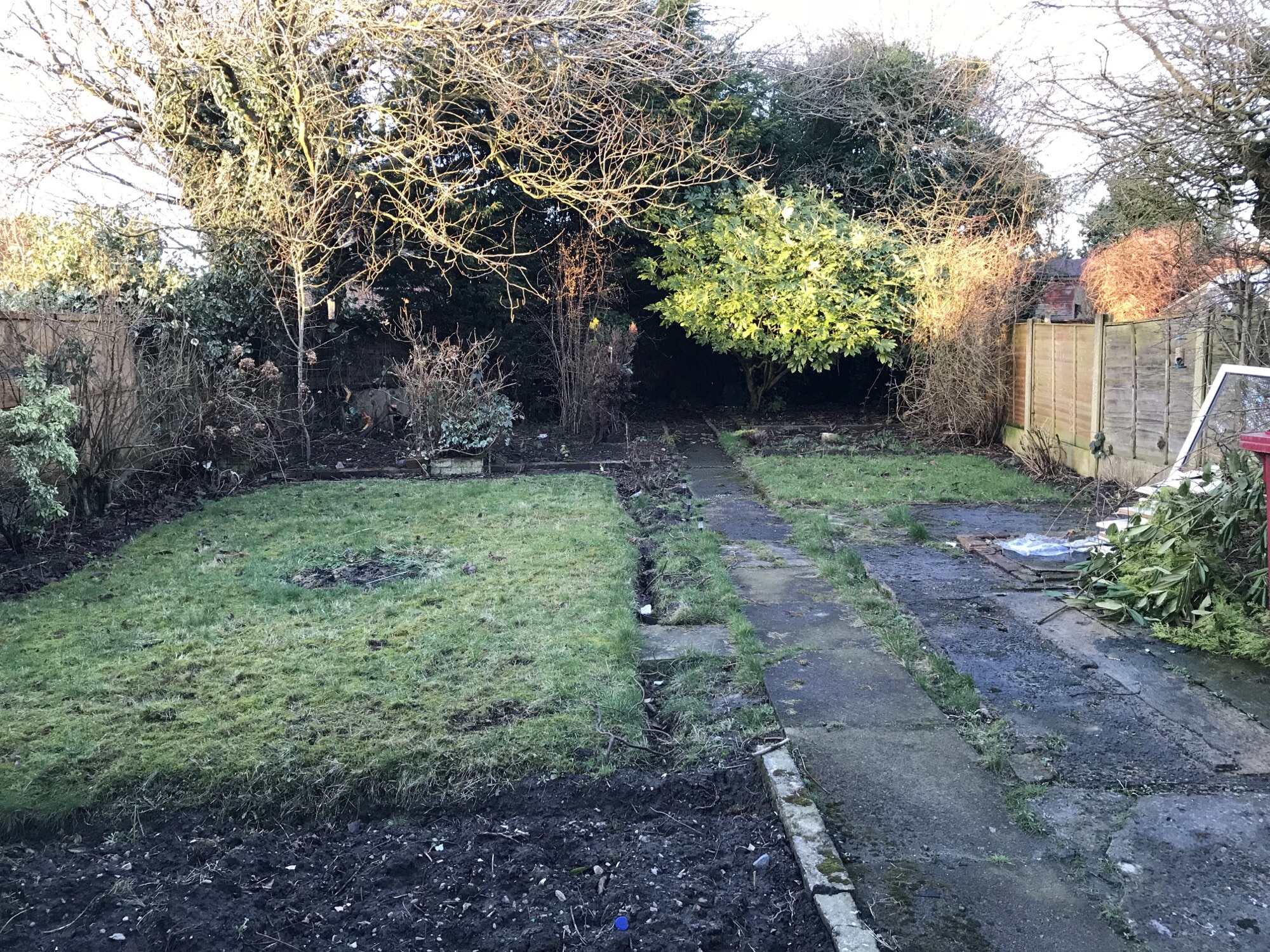 A fire hydrant sitting in the middle of a forest - The image shows a backyard in the daytime. The yard is currently a work in progress, with an area that seems to have recently been cleared or dug up. It is bounded by a wooden fence to the right side and appears to be adjacent to a building that is mostly invisible due to its proximity to the fence and the tree in front of it. A hedge bush is visible on the left side. Plant life is sparse, with a few tufts of grass and patches of dirt. No green plants are evident in the visible area. The overall impression is one of disorder, with the cleared area and dirt scattered about. The background is gloomier due to the contrast with the cleared area, which has less detail in the image.