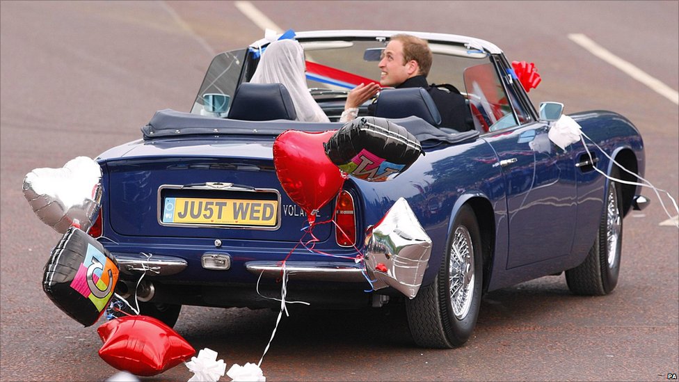 Spotted Pistonheads Prince Aston
