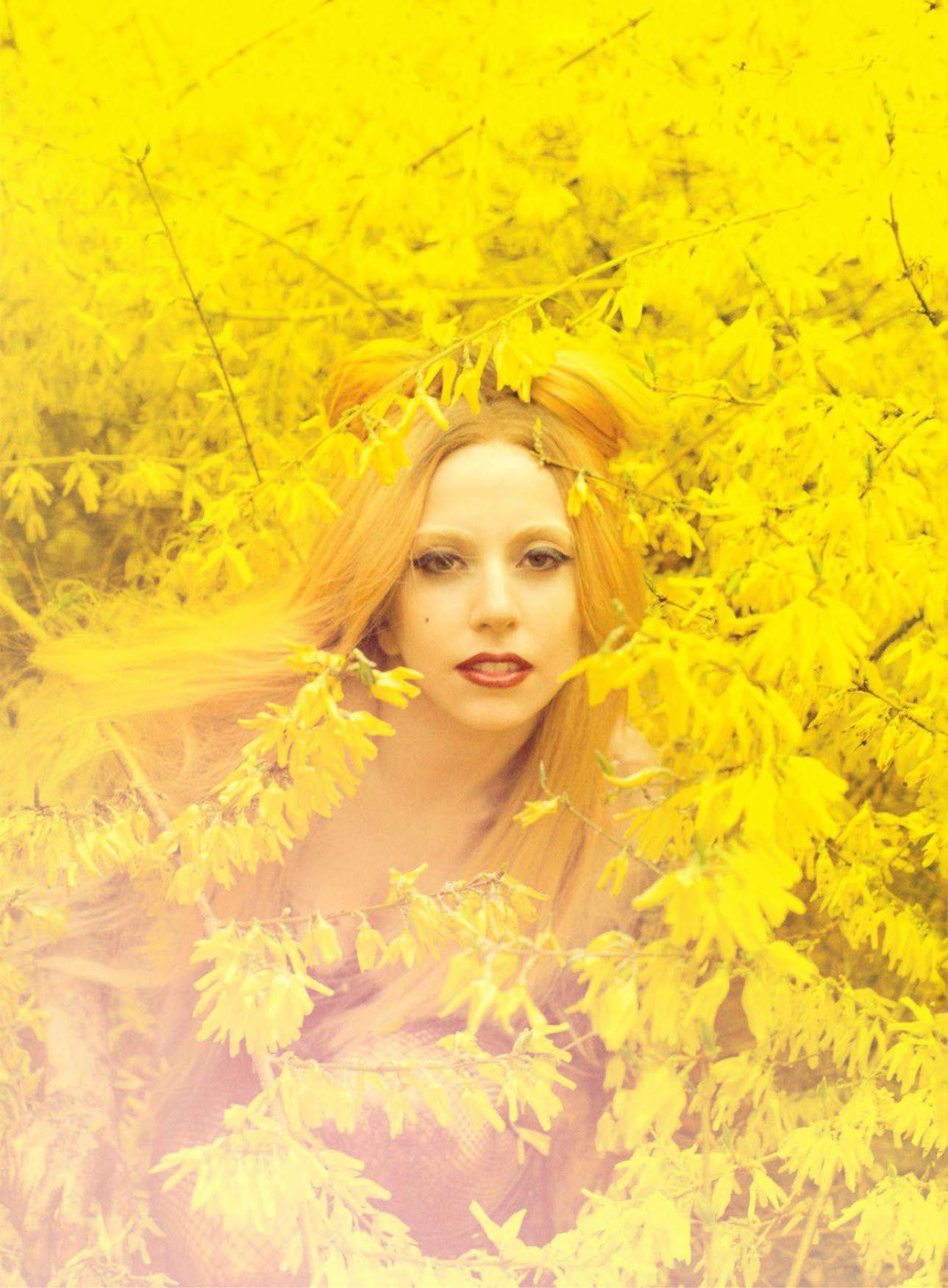 In the image, there is a woman with vibrant blonde hair and striking red lipstick. She is hidden among the golden branches of a tree. The background is colored yellow, which contrasts with her red lips and hair, giving the image a warm, autumnal feel. Her expression is contemplative, adding a sense of depth to the image. The lighting appears to be filtered through the translucent branches, softening the contours of her face. Overall, the image captures a moment of serene beauty set against the backdrop of nature's golden hues.