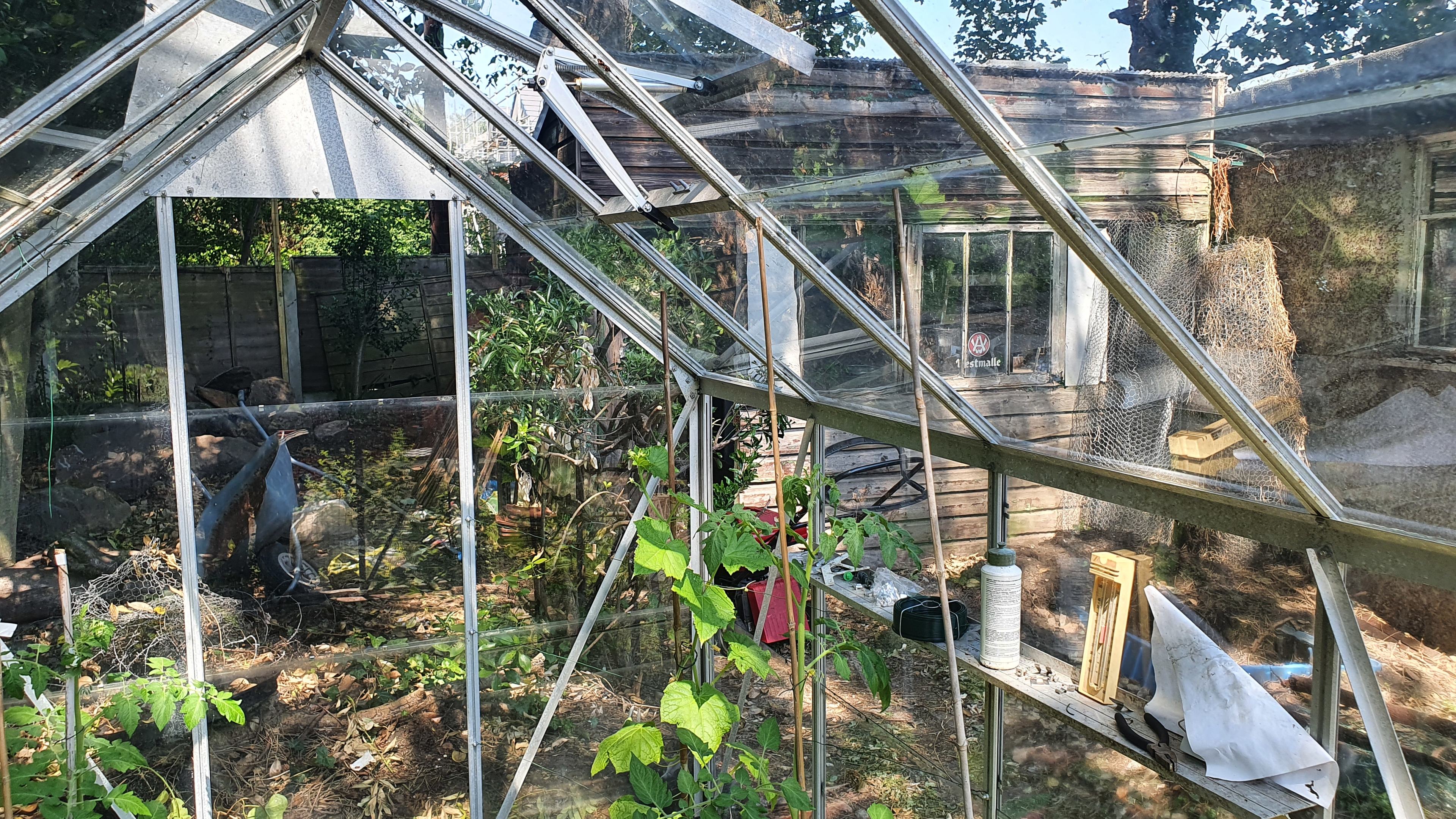 The Greenhouse Thread - Page 14 - Homes, Gardens and DIY - PistonHeads