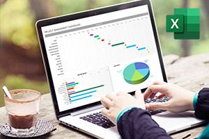 Foundations of Microsoft Excel Dashboards, Data Analysis and Visualization