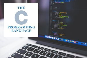 C Programming - Numbers, Variables and Arrays