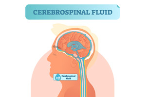Procedures for Cerebrospinal Fluid (CSF)