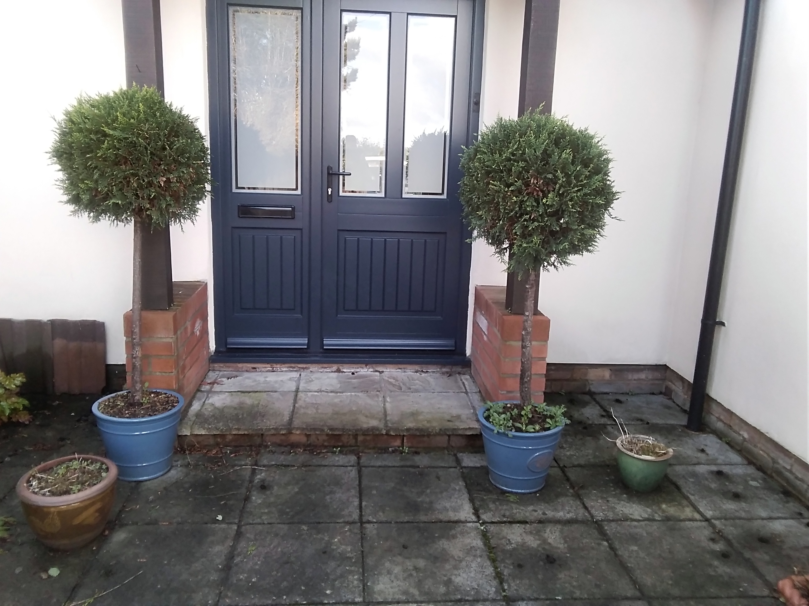 Pot small shrubs for shade drive? - Page 1 - Homes, Gardens and DIY - PistonHeads