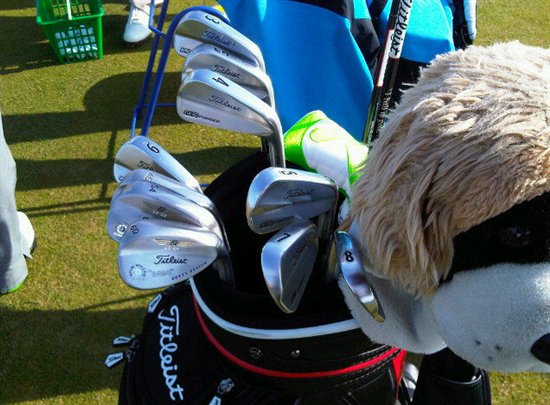 Rory Tiger and Nike- wassup????? - Page 1 - Sports - PistonHeads - The image showcases a black golf bag housing multiple golf clubs arranged in neat rows. Atop the bag rests a large, floppy dog in mid-wag, accompanying a beige dog that appears to be wearing a black eye patch with a number eight on it. The scene is playful and light-hearted, suggesting a golf outing also involving the canine companions.