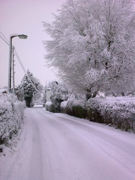 Not since 1981 - Page 1 - North West - PistonHeads - The image captures a winter wonderland of a tree-lined street. Amidst light drizzle and a slight snowfall, the street is blanketed in pristine, fresh snow. Trees, their branches heavy with snow, line both sides of the street, their snowy canopies adding a sense of tranquility to the scene. The storybook atmosphere is complemented by a dusting of fresh snow on power lines and cars, enhancing the winter ambiance. Despite the cold, the image has a calming and serene feel to it.