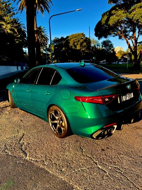 Let's see your Alfa Romeos! - Page 144 - Alfa Romeo, Fiat & Lancia - PistonHeads UK - The image shows a vibrant green Audi sedan parked on the side of a road. It has a distinctive dark window tint and is positioned in front of a palm tree, suggesting it might be in a warmer climate. The car features alloy wheels, and there's a clear sky above. In the background, there's a tree with some green leaves. The photograph has a watermark or logo on it, indicating the photographer or the entity associated with the image.