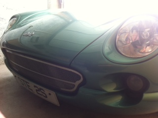 Respray in Californian sage ? - Page 1 - Griffith - PistonHeads