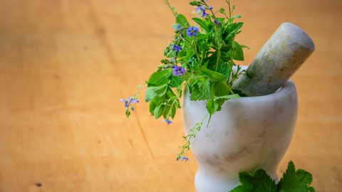 Herbalism for Healthcare Professionals