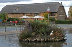 Pistonheads Barn Monday Bbq Manor Farm - This image captures a peaceful rural scene. In the foreground, there's a small body of water from which a female duck with her ducklings is swimming. The structures present include a large building with a slanted roof, resembling a barn or farmhouse, and a wooden structure nearby with some signs, possibly indicating a farm or cottage. The background features a verdant landscape with trees, further emphasizing the countryside setting. The overall atmosphere is serene and natural, untouched by urban development.