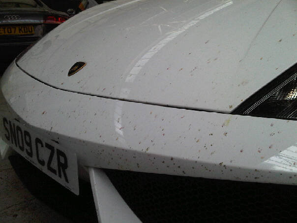 Dirty Supercars Pistonheads