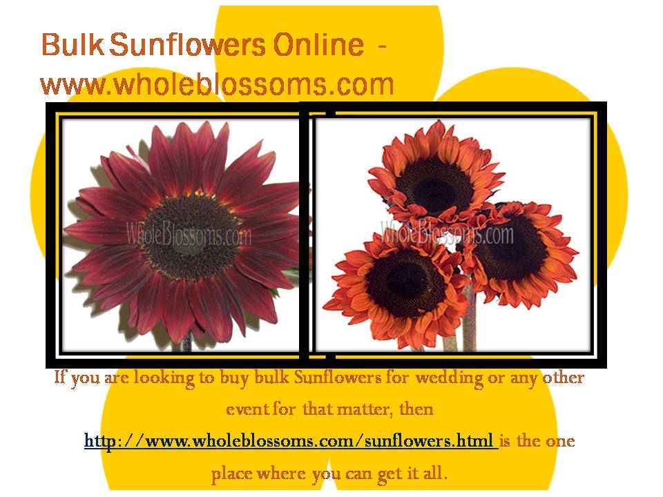 A collage of photos with a person holding a cake - Buy Sunflowers Bulk Wholesale Flowers Online Wedding
