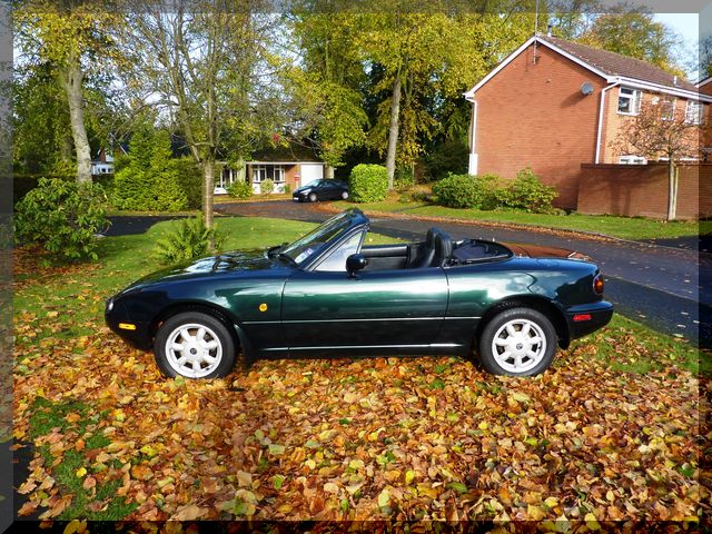 Preparing an MX5 for a trip to Italy... - Page 2 - Mazda MX5/Eunos/Miata - PistonHeads - The image shows a sleek, black sports car with a convertible top, parked on a leaf-covered lawn. The car is angled to the side, with its front facing towards the left side of the frame. The car appears to be in a residential area, as there are other houses and driveways visible in the background, suggesting a suburban setting. The lawn is dotted with fallen leaves, indicating that it might be autumn. The sky is overcast, suggesting a cloudy day.