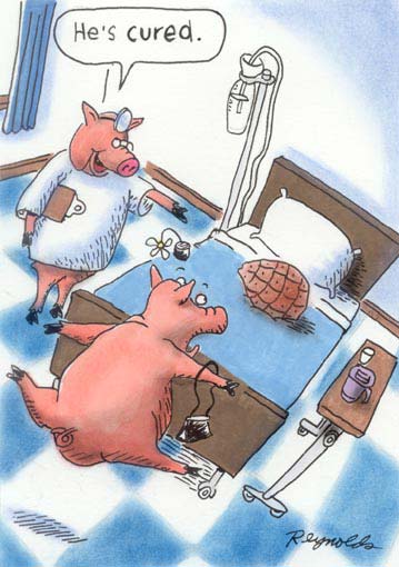 Sean Connery Joke Thread (Vol 7) - Page 382 - The Lounge - PistonHeads - The image is a cartoon illustration featuring a domestic pig in a human-like pose atop a bed. A line of text above the pig says "he's cured," suggesting that the pig has been successfully treated or cured from a ailment. To the right, a pig in a medical gown is raising its paw up in a context that implies a suggestion or diagnosis. The pig on the bed is deep in thought, looking at the pig pig sitting beside its head. One pig seems to be pulling the cover off with one hand, while another pig is about to pull the bed sheets with its back foot, revealing an equally pig-like nurse's hat underneath. There is a caption on the bed that says "help," implying an ongoing struggle or perhaps seeking attention. The text features a sound effect of a nurse blowing her whistle; her character is also represented through a speech bubble reading "he's cured," which includes a sense of relief and pride.

The art style is cartoonish, with a clear, friendly, and humorous tone. The characters are anthropomorphized, meaning they are given human-like characteristics and emotions. The setting is somewhat ambiguous due to the indistinct