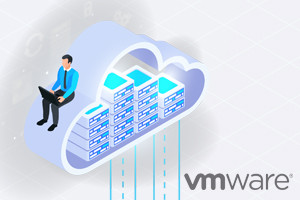 VMware vSphere 5.5: Storage, VM Creation and Security