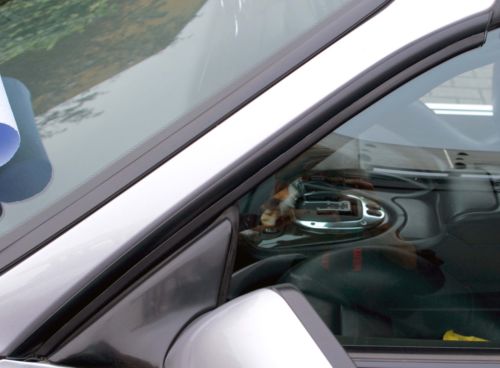 XK side window trims - Page 1 - Jaguar - PistonHeads - This image is taken from a low angle outside looking into the interior of a vehicle. The main focus is on the side view mirror, or car mirror, that is situated on the driver's side of the vehicle. The interior is filled with various objects, including a person partially visible at the right side of the mirror. The reflection on the car door indicates that the photo might have been taken on a sunny day, as the interior of the car appears illuminated and the colors are vivid. The image does not provide enough context to determine the brand or type of vehicle. The photograph has a high-resolution and offers a clear view of the inside of the vehicle.