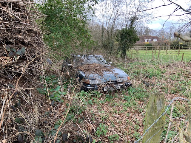 Classics left to die/rotting pics - Vol 2 - Page 340 - Classic Cars and Yesterday's Heroes - PistonHeads UK - The image shows an overgrown field where a car is parked, surrounded by tall weeds and brush. It appears to be an abandoned site with the car possibly being left behind for an extended period. In the background, there's a glimpse of a building and a fence line. A few dead branches are scattered around the scene, adding to the overall sense of neglect. The car, which is centrally located, seems to be in disrepair, suggesting it has been exposed to harsh weather conditions for some time.