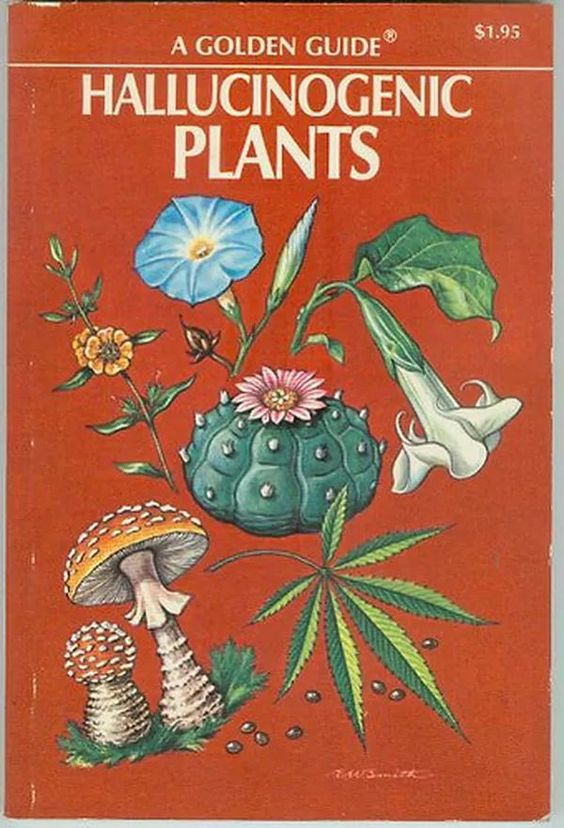 A list of Halucinogenic Plants  #420life #livenatural #mushrooms