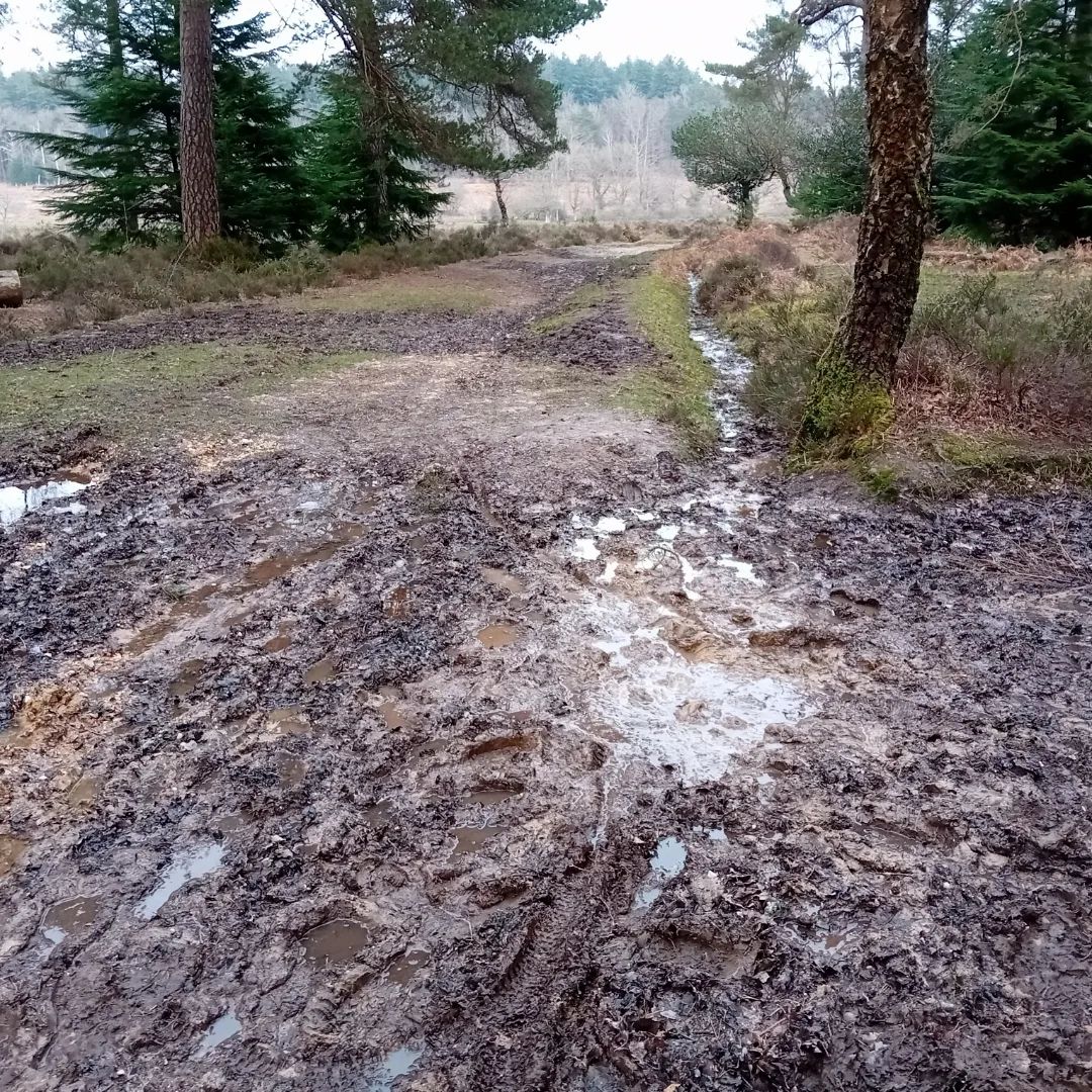 Pistonheads - The image shows a muddy path leading into the distance. The ground appears to be heavily trampled, with thick mud covering most of it. There are no visible tracks or tire marks, suggesting that the trail has not been used recently. On either side of the path, there is grass and trees, indicating that this path is located in a wooded area. The image captures the tranquil solitude of the scene, with no people or vehicles present.