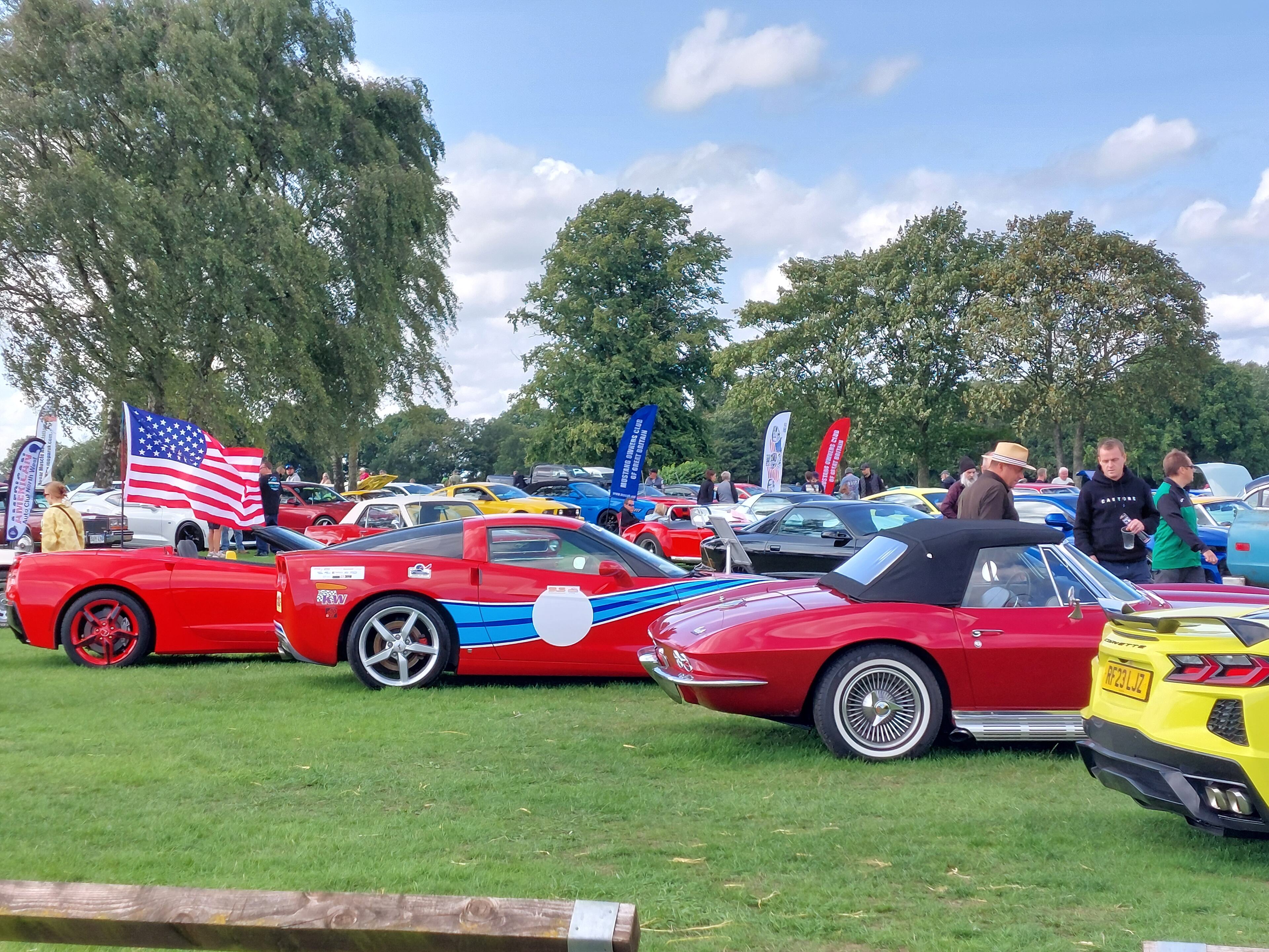 Pistonheads - The image captures an outdoor car show on a sunny day. It's a vibrant scene with a variety of colorful cars parked side by side on a grassy area, showcasing their sleek designs and shiny surfaces. People are seen walking around the display, taking in the sights of these vehicles. The atmosphere is lively with flags waving in the wind, adding to the festive ambiance. The setting appears to be a park or a similar open space, making it an ideal location for this kind of event.