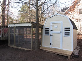 Garden Shed Steel Vs Wood? - Page 1 - Homes, Gardens and DIY - PistonHeads - The image features a wooden small shed, likely serving as a chicken coop. The shed is constructed from light-colored wood and has a small door, which is the predominant entrance point for the coop. In front of the shed is a wire mesh enclosure designed to keep the occupants secure and contained. The enclosure consists of a grid-patterned cover over a raised platform, providing a form of shelter and elevation for the chickens. To the left of the shed, a tree trunk is visible. The setting appears to be a residential yard with other vegetation and structures partially visible in the background.