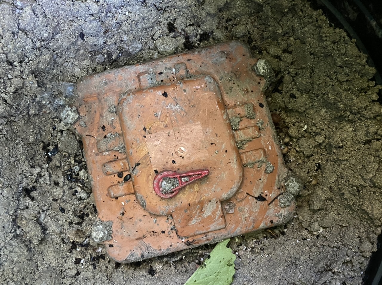 Help identify switch thing in drain - Page 1 - Homes, Gardens and DIY - PistonHeads