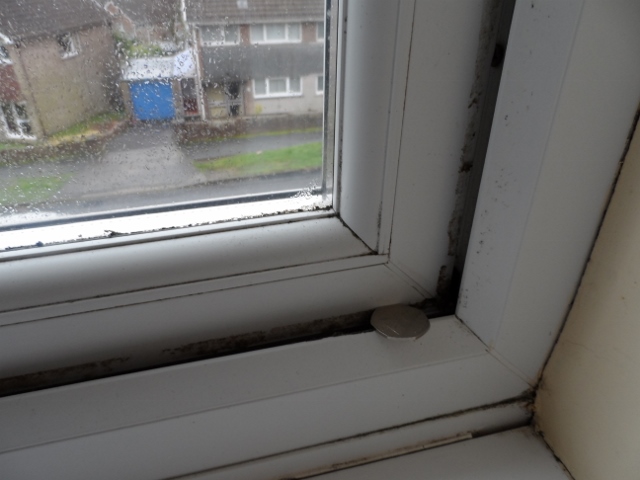 Badly fitted UPVC windows - Page 1 - Homes, Gardens and DIY - PistonHeads