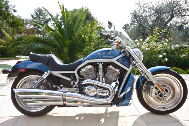 American Pistonheads - The image features a striking blue Harley Davidson motorcycle parked on a paved surface. The motorcycle, characterized by its prominent front fender, is topped with a black seat and handlebars. The seat and handlebars are adorned with chrome accents, adding to the overall aesthetic of the motorcycle. The motorcycle is surrounded by lush greenery, with a palm tree and various bushes in the background. The motorcycle's large chrome exhaust pipe is prominent, further emphasizing the bike's presence in the scene.