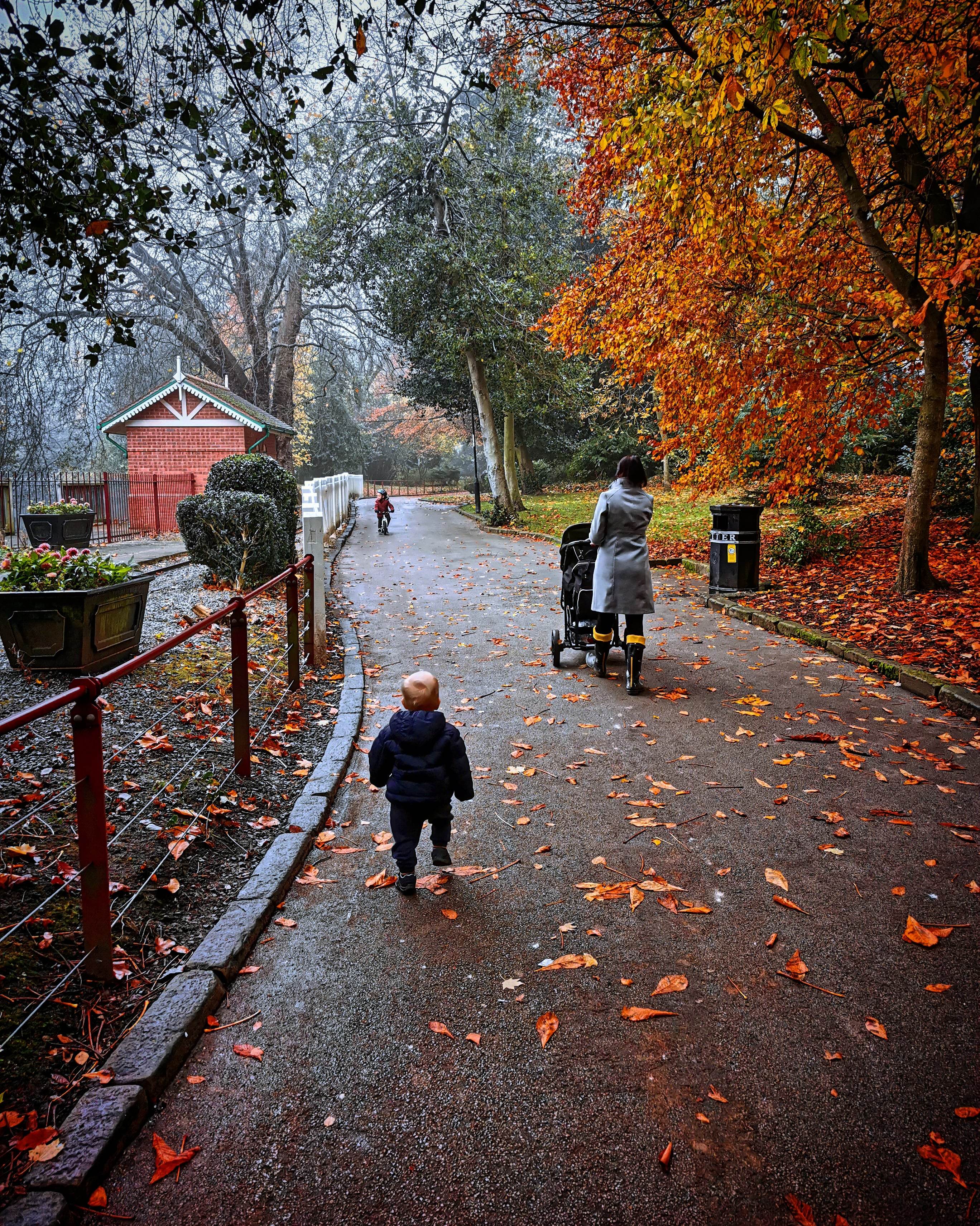 November 2020 photo competition- Autumn  - Page 1 - Photography & Video - PistonHeads UK - The image captures a serene scene of a park on what appears to be a rainy day. A person is pushing a stroller, walking down the path, which is lined with fallen leaves. Another individual is seen walking in the opposite direction, creating a sense of movement amidst the stillness. The path is flanked by trees and a fence, adding to the park's tranquil atmosphere. A sign at the entrance suggests it might be a public park or garden. The ground is wet from recent rainfall, reflecting the subdued sky above. The overall mood of the image is calm and peaceful, a quiet moment captured in an urban park during a rainy day.