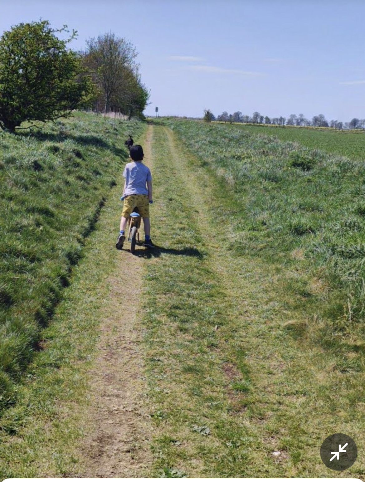 Pistonheads - The image shows a young boy riding a bike on a dirt path. He appears to be alone in the scene, which takes place in a rural area with open fields and sparse vegetation around. The setting suggests it might be during the day due to the bright lighting conditions. In the background, there are no significant structures or landmarks that provide context or location details.