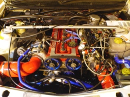 Show us your car's HEART !!!!!!!!! - Page 31 - Readers' Cars - PistonHeads - The image showcases the intricate mechanics of a car's engine, with the hood lifted to provide a clear view. This is a close-up shot focusing on the engine, but the connecting tubes can also be observed. Multiple blue and red wires are arranged neatly around the components, showcasing a system of precise wiring. The engine appears to be red, and the overall impression is of a well-maintained and engineered vehicle.