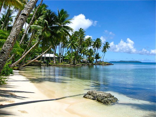 Divers? Anyone else? - Page 1 - Sports - PistonHeads - The image portrays a serene beach scene. The beach is lined with tropical palms, casting a shadow on the sandy shore. The calm ocean stretches out to the horizon, while clear blue skies above add to the idyllic setting. On the beach, amidst the greenery, there's a structure that appears to be a small hut. The overall atmosphere is tranquil and inviting, perfect for a relaxing day by the seaside.