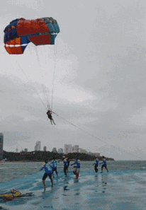 A group of people flying kites on a beach