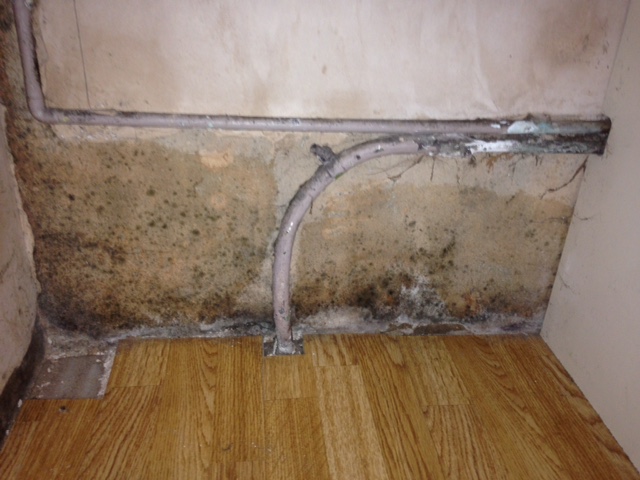 Is this condensation? - Page 1 - Homes, Gardens and DIY - PistonHeads - The image depicts an indoor corner of a room where a section of the wall, specifically a part that appears to be under a family home, shows signs of water damage and mold growth. The damaged corner is characterized by discoloration, staining, and patches of dark mold on the white, textured wall. Wallboard and a copper pipe are visible on the unfinished side of the wall, with the exposed pipe running along the baseboard and the wallboard cut out to reveal the pipe's space beneath. The overall condition of the space suggests a neglected or inadequately maintained area, possibly due to water leakage.